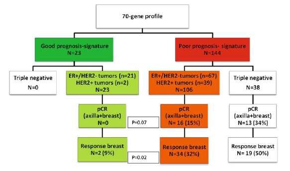 The 70-gene signature as a response predictor for NEOADJUVANT CHEMOTHERAPY IN