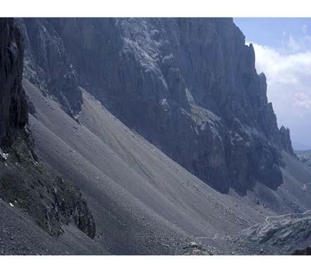 19.- La fotografía presenta unos canchales de alta montaña en la Cordillera Cantábrica. Qué proceso ha dominado en la formación de estos canchales? A. Meteorización química. B.