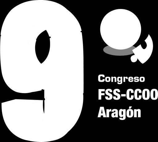 de la FSS-CCOO de Aragón.
