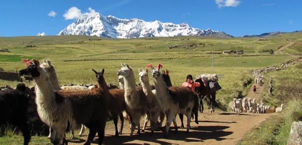 En bus son más de 22 horas. Cuzco es una ciudad increíble y llena de vida, situada a pocos kilómetros de la Cordillera Vilcanota, con el Ausangate (6.