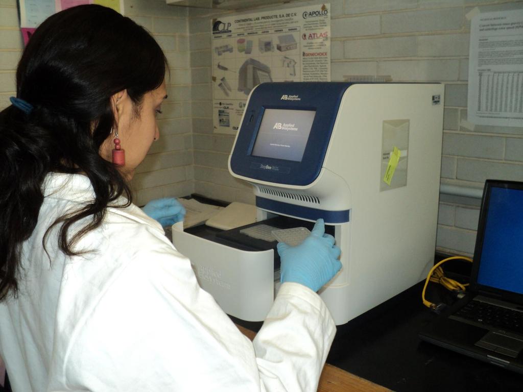 Amplificación por PCR en