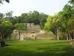 D6 jue Sitio arqueológico de Tikal Temprano en la mañana,