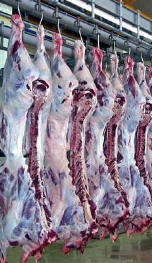 Situación actual de la Industria cárnica en GB Carne roja Mataderos 237 Excepción