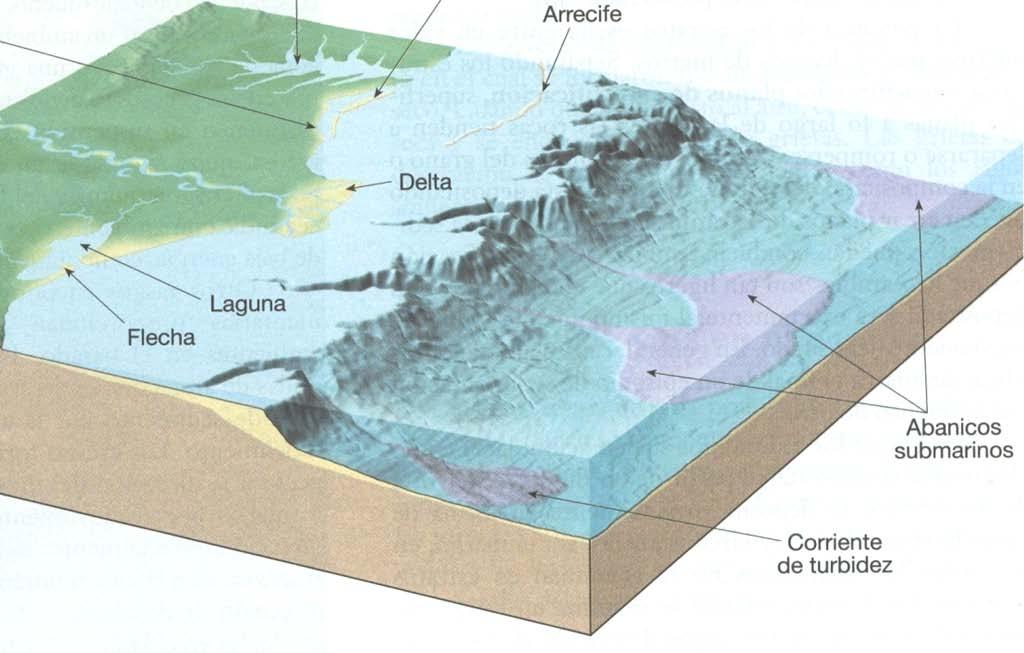 FLUCTUACIONES DEL NIVEL DEL MAR Una variación eustática del nivel del mar se define como un levantamiento o caída del nivel del mar referido a la superficie terrestre considerada estable.