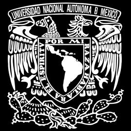 UNIVERSIDAD NACIONAL AUTÓNOMA DE MÉXICO FACULTAD DE FILOSOFÍA Y LETRAS COLEGIO DE LENGUA Y LITERATURAS HISPÁNICAS ASIGNATURA: Optativa Libre.