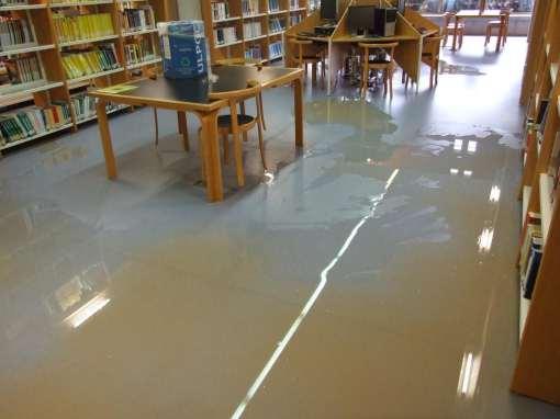 Desastres en bibliotecas.