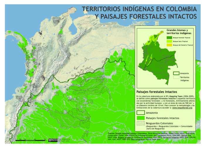 02. Introducción El Amazonas conformado por ecosistemas de bosques basales (selvas), alberga especies de florayfauna, etnias y culturas,quecubrenel43%decolombia.
