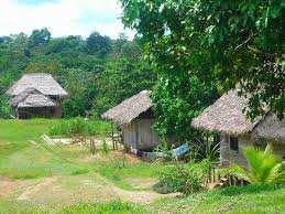 Comunidad Tikuna San Martin de Amacayacu Establecido en 1972, en la actualidad 550 habitantes Más del 90% de la