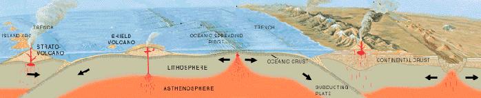1.Las fuerzas internas de la Tierra que originan movimientos orogénicos o desplazamientos de las diferentes placas de la corteza terrestre.