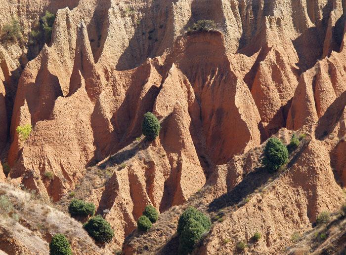 El relieve arcilloso es un tipo de relieve litológico que se desarrolla en áreas donde la arcilla fundamentalmente, pero también la arena, la marga y el yeso afloran de forma extensa.