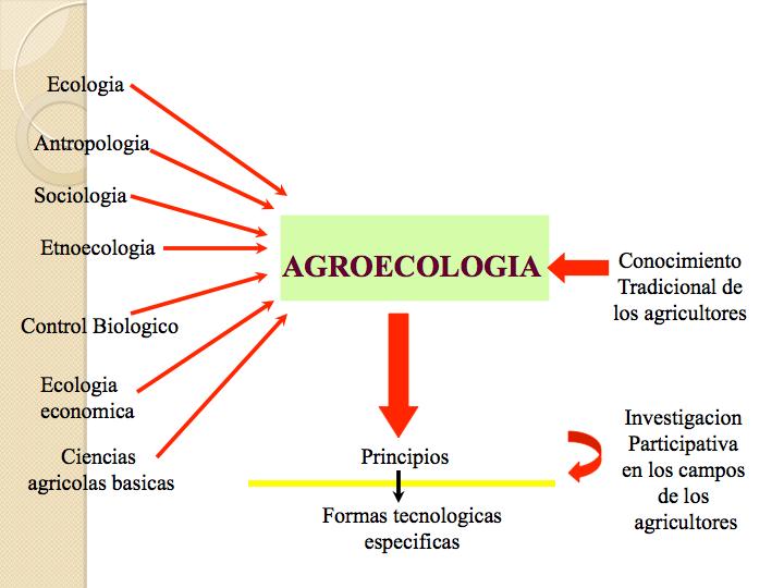 Resultado de imagen para agroecologia Revolucion Verde
