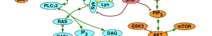 the BCR pathway (CD79A/B and CARD11) and toll like receptor (TLR) pathway (MYD88) lead to