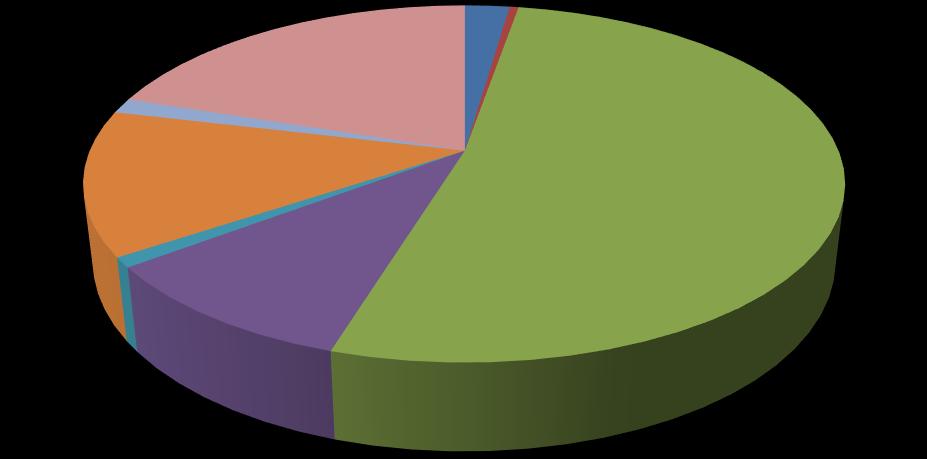 CLASIFICACIÓN PRONÓSTICA 2% 1% 1% 13% 1% 10% 20% 52% Ia IIa