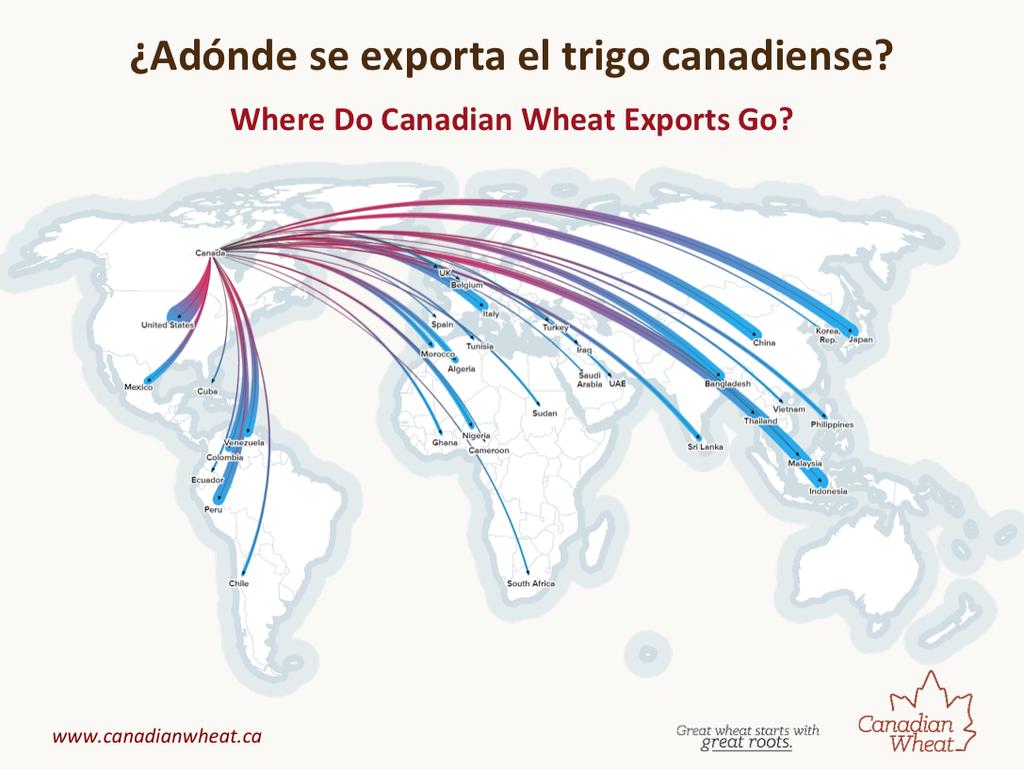 Canadian wheat is exported around the world. This graphic descrip2on from the Food and Agriculture organiza2on shows just how far Canadian wheat reaches.
