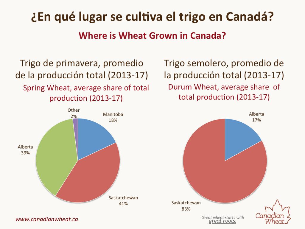 Most spring wheat in Canada is produced in the three prairie provinces Manitoba, Saskatchewan and Alberta. Saskatchewan produces over 41% of the spring wheat grown in Canada.