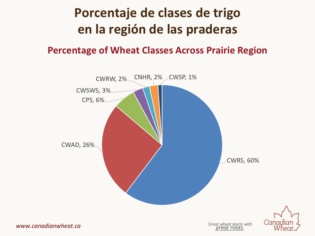 Canadian Western Red Spring wheat or CWRS is s2ll king of wheat in the Canadian prairies. Over80% of spring wheat outside of durum is CWRS.