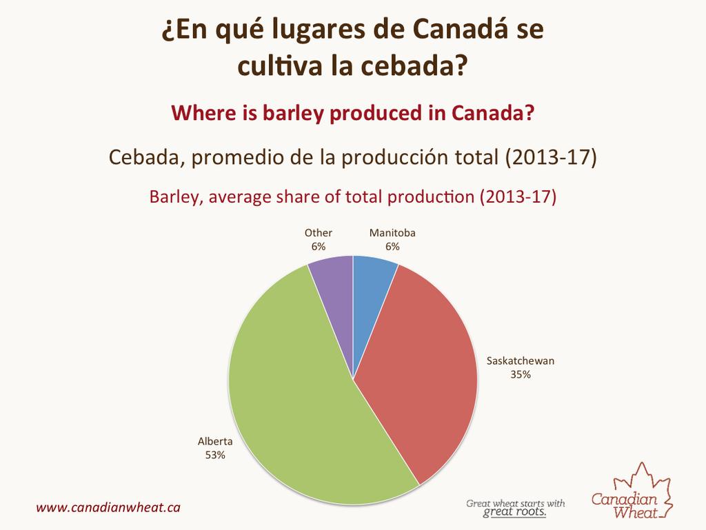 Almost all of the barley grown in Canada is produced in the prairie provinces of Alberta and Saskatchewan 88%. Barley is used both for animal feed as well as for malt produc2on.