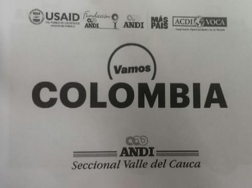 Campaña Vamos Colombia Valle Depende de Nosotros Por otro lado, la fundación ANDI en alianza con USAID (Agencia de los Estados Unidos para el Desarrollo Internacional) y ACDI/VOCA llevaron a