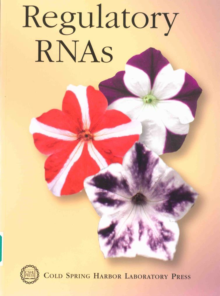Regulación de la expresión por RNAs El RNA