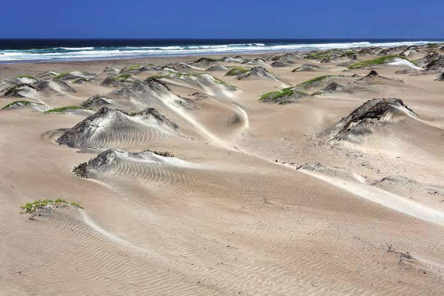 a) Dunas embrionarias y dunas frontales, b) dunas transgresivas con barjanes y hondonadas, c) planicie de dunas frontales, d) dunas transgresivas y e) duna parabólica.