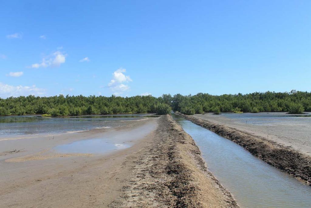 Afección a la fauna Pérdida fauna dulceacuícola en la zona baja del río Pérdida de la conexión entre el río y las