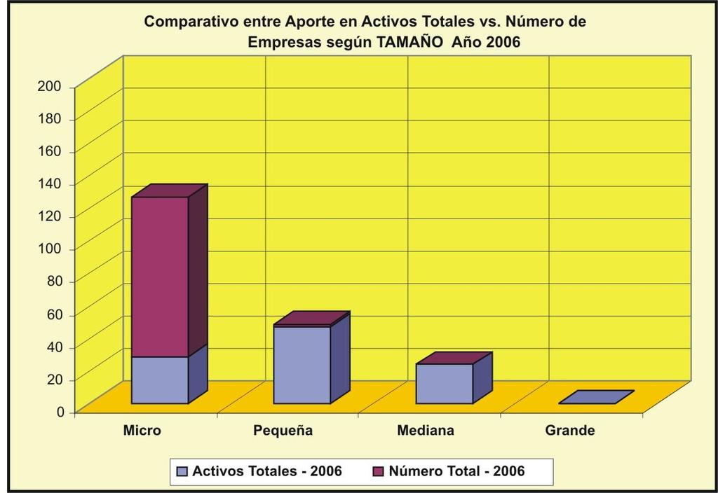 CUADRO 10 Participación Porcentual Comparada entre Activos Totales y Número Total PERSONA NATURAL - 2006 Tamaño Activos Totales Partc.(%) Número Total Partc.(%) Micro 35.835.340.