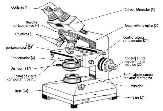 2. Definición de las funciones de los equipos Tabla 5. Identificación y definición de un microscopio.