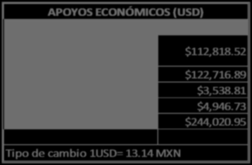 TOTAL APOYOS ECONÓMICOS (USD) MONTO TOTAL PROGRAMA JÓVENES EN LA INVESTIGACIÓN $112,818.