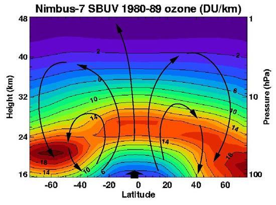 (Fuente: NASA) Distribución Espacial media del ozono