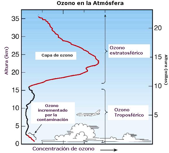 El ozono se presenta desde la superficie hasta una altura aproximada de 70 km, pero cerca