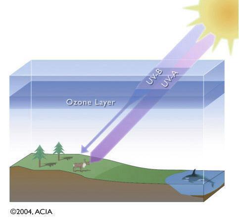 Importancia del Ozono para la vida en la Tierra La capa de Ozono se encarga de proteger a los seres vivos de la