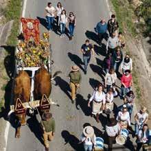 F III Centenario del Lunes de Quasimodo El municipio de Olvera celebró el lunes 13 de abril, su festividad local, la tradicional romería del Lunes de Quasimodo, y