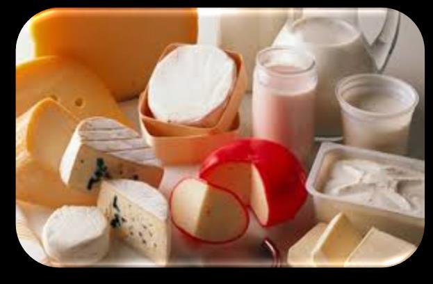 Los diferentes negocios para la leche QUESO PRODUCTOS MOZZARELLA TRADICIONALES ARTESANALES Hay
