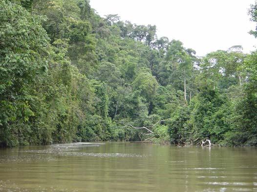 Sector Estación Biológica Paujil Localizada en la confluencia de la quebrada Paujil y el río Iscozacin; para llegar alli partiendo de Oxapampa, toma aprox.