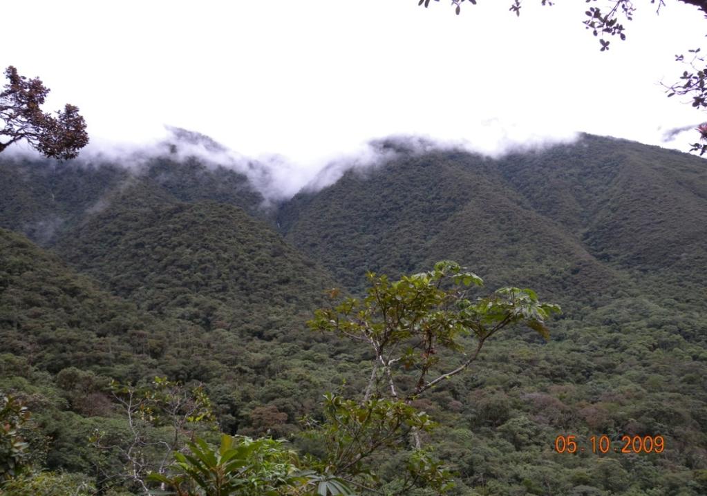 15 (2002) e Ibich (2003) como bosque montano pluvial. La precipitación anual se estima entre los 2.500-3.000 mm, con 1 a 1,5 meses áridos (Müller et al, 2002). Figura 2.