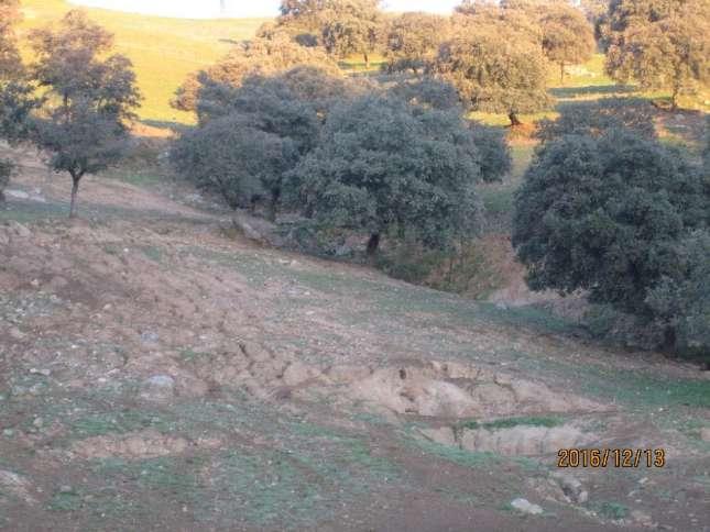 SÍNTOMAS DE EROSIÓN EN LA DEHESA: - Acumulación de piedra en zonas bajas (líneas de drenaje, cerca de cauces).