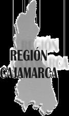 GOBIERNO REGIONAL CAJAMARCA MANUAL