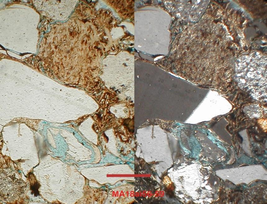 RECRISTALIZACIÓN Algunos granos y minerales depositados en un sedimento o que forman un sedimento son inestables y durante la diagénesis pueden recristalizar.