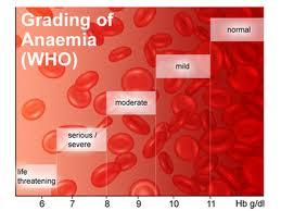Tratamiento de la anemia
