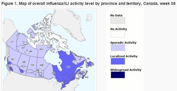 The percent positivity increased from 29% in EW 7 to 33% in EW 8 -- which was reported to be above expected levels / En general, la actividad de influenza estacional continuó incrementando.