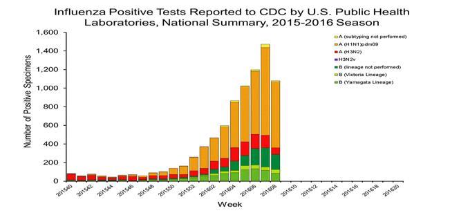 United States During EW 8, influenza activity remained high. Influenza positivity increased to 17.6% (from 13.