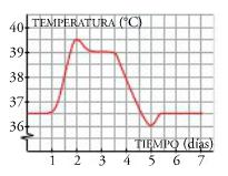 Pág. 17 de 21 3.7. TEMPERATURA DE UN ENFERMO Esta es la gráfica de la evolución de la temperatura de un enfermo: a. Cuánto tiempo estuvo en observación? b.