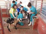 php Desarrollo de programas de formación continua para veterinari@s que trabajan a tiempo completo.