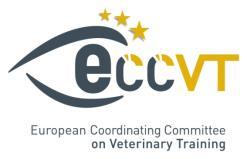 European Coordinating Committee on Veterinary Training (ECCVT) 3 miembros EAEVE, 3 miembros FVE, 3 miembros EBVS OBJETIVOS Coordinar las políticas de la EAEVE, FVE y EBVS en la formación veterinaria