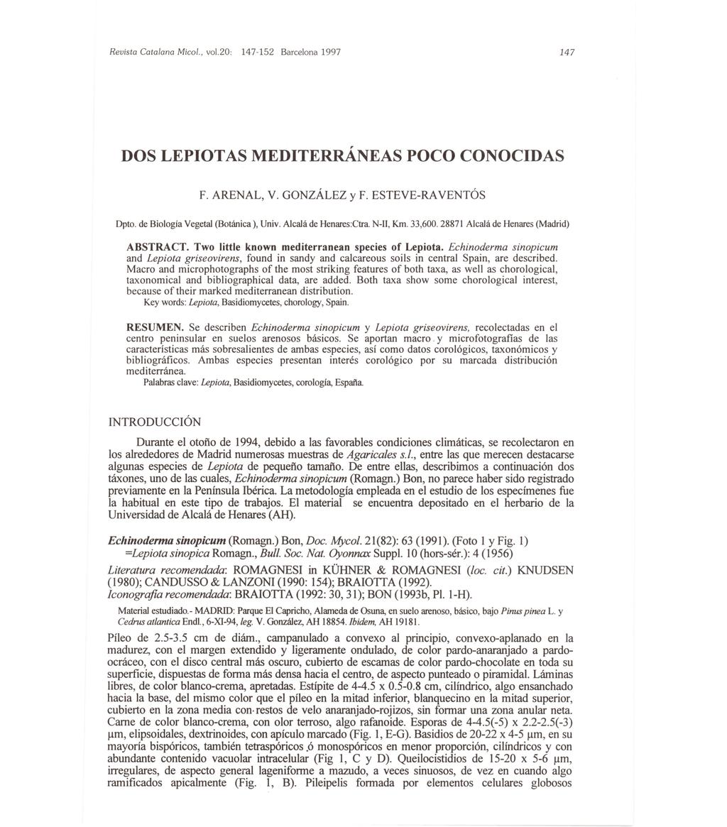 Revista Cata lana Mico/., vo1.20: 147 DOS LEPIOTAS MEDITERRÁNEAS POCO CONOCIDAS F. ARENAL, V. GONZÁLEZ y F. ESTEVE-RA VENTÓS Opto. de Biología Vegetal (Botánica), Univ. Alcalá de Henares:Ctra.