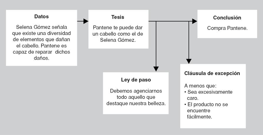 Dossier. El esquema de Toulmin como herramienta en la didáctica de la  argumentación y la publicidad - PDF Descargar libre