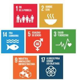 Reflexiones finales Implementar los objetivos de desarrollo sostenible, con la igualdad de género como centro.