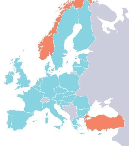 Recogida principal: La Red Reitox 30 Puntos Focales (28 Estados Miembros, Noruega y Turquía) Ejercicio de reporte regular,