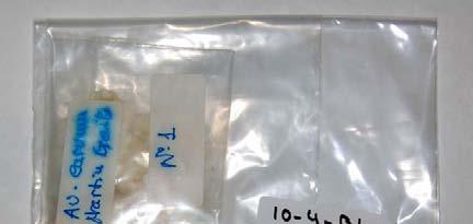 M-10-4-B-1 Sustancia blanquecina pastosa contenida en una bolsa etiquetada Av.