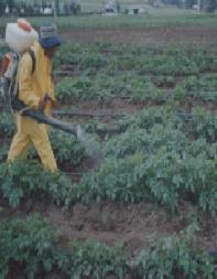 Fertilizantes: químicos Balanza Productos fitosanitarios Bomba de mochila